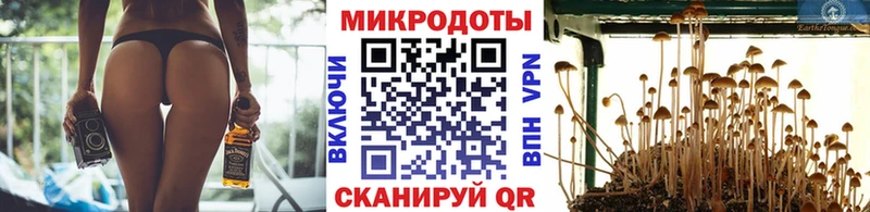 Галлюциногенные грибы мицелий  Новотитаровская 